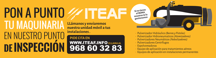 ITEAF Murcia